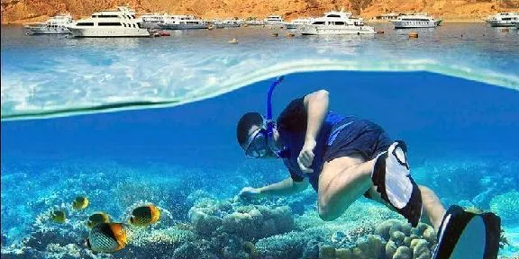 Red Sea Diving