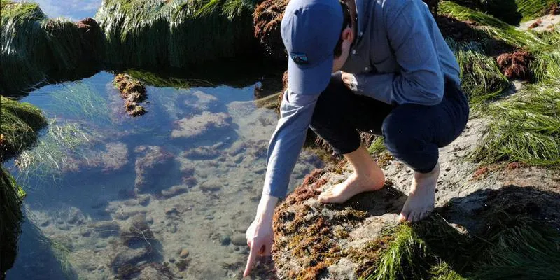 St. Croix Tide Pools