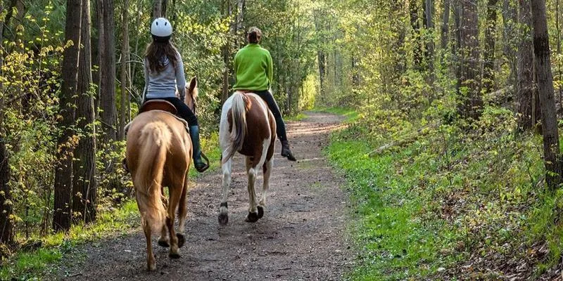 Horseback Riding in St. Croix