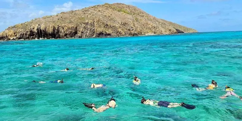 Buck Island Reef Snorkeling
