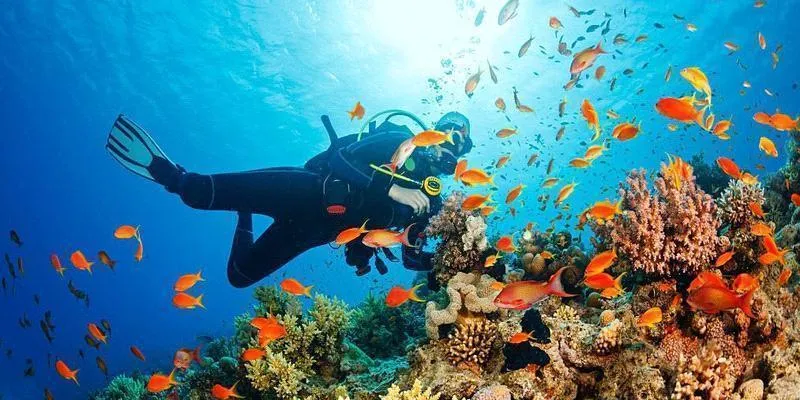 Diving the Wall