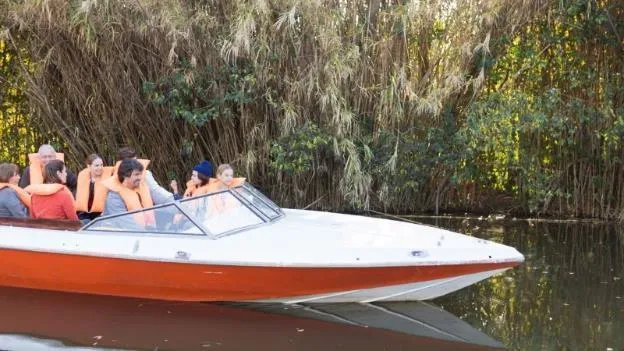 Boat Safari