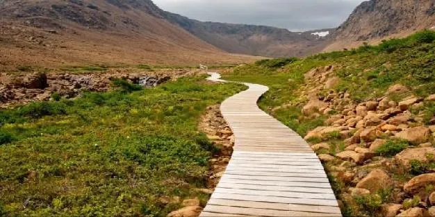 Gros Morne National Park