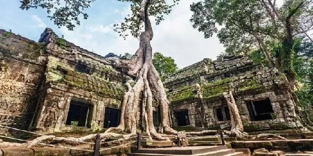 Ta Prohm