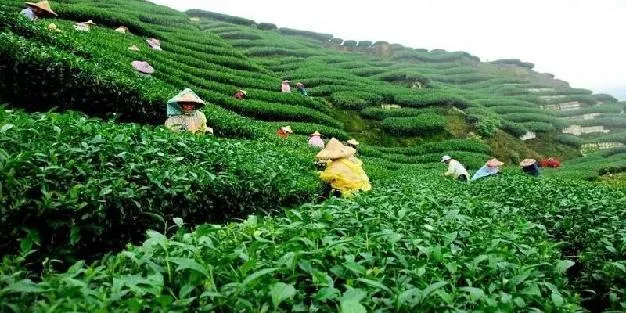 Jaflong