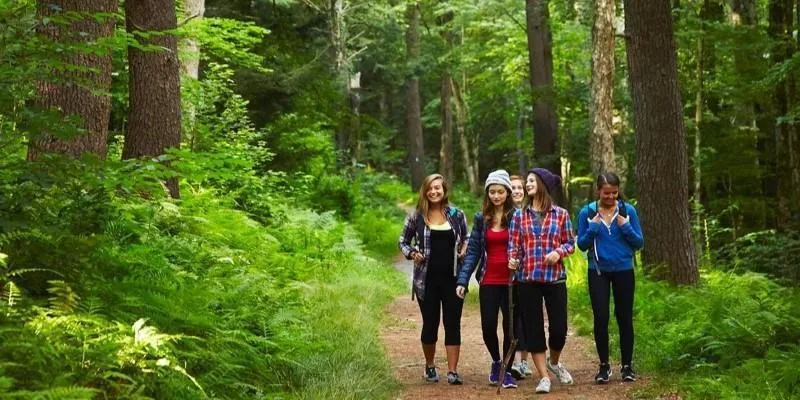 Nature therapy