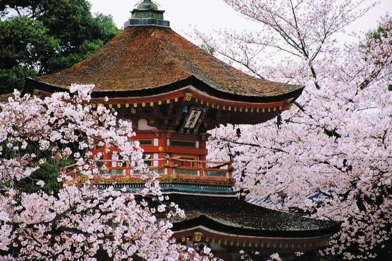Kyoto