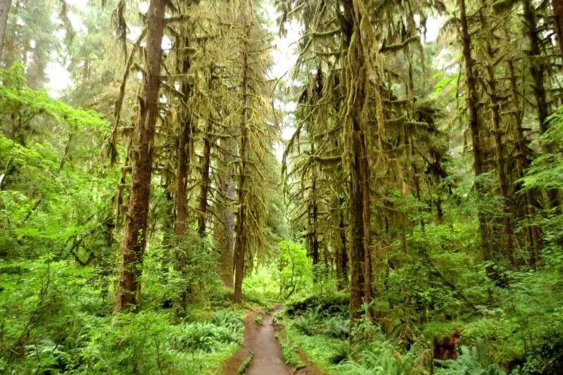 Olympic National Park