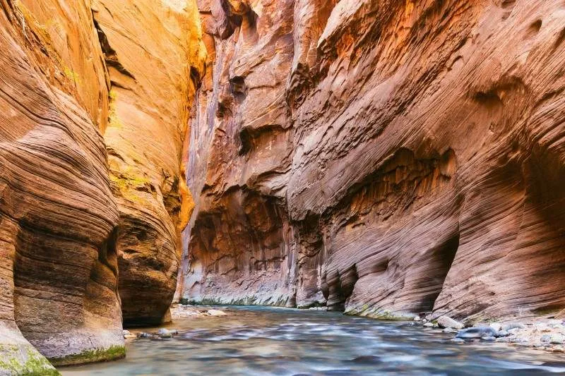 Zion National Park