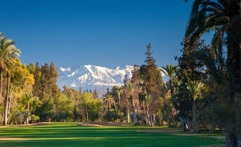 Golfing in Marrakech