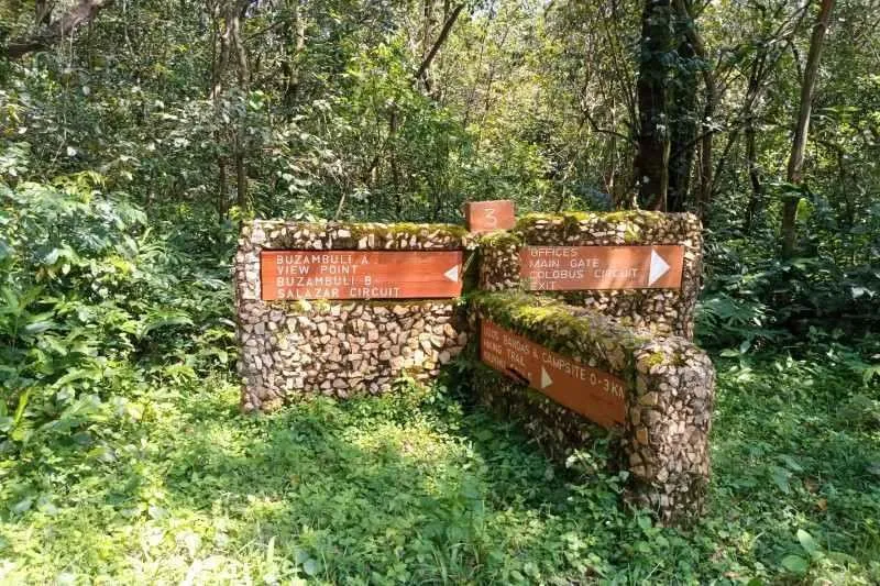 Kakamega Forest Reserve