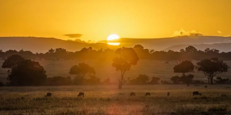 Maasai Mara National Reserve