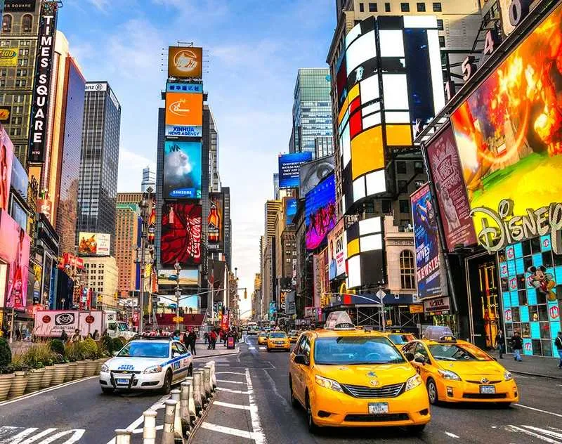 Explore Urban Jungles