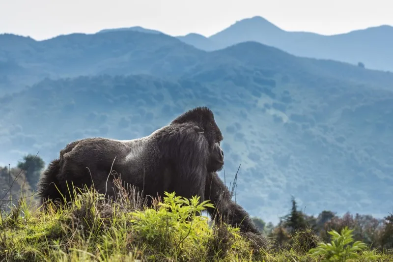 Experience Wildlife Encounters