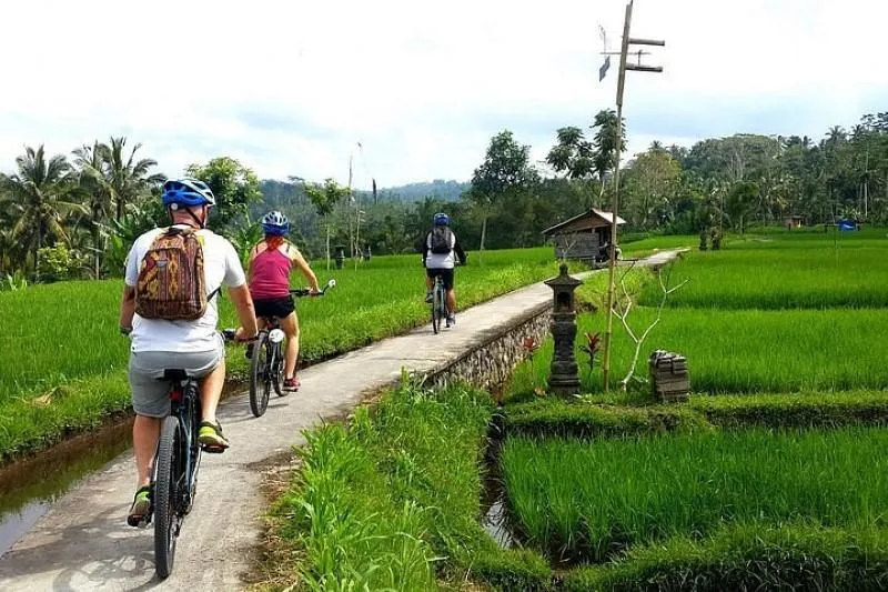 Ubud Bike Ride