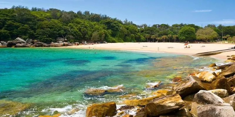 Shelly Beach