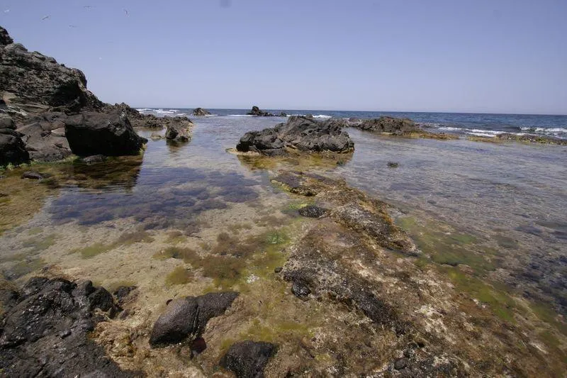 Isla de Alborán