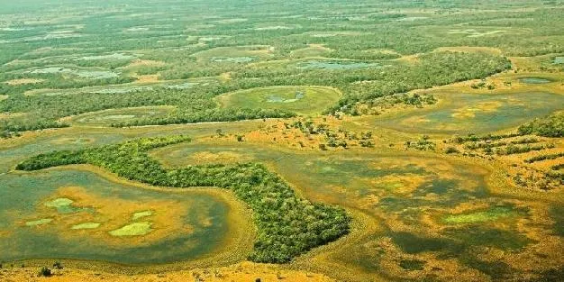 Pantanal Wetlands