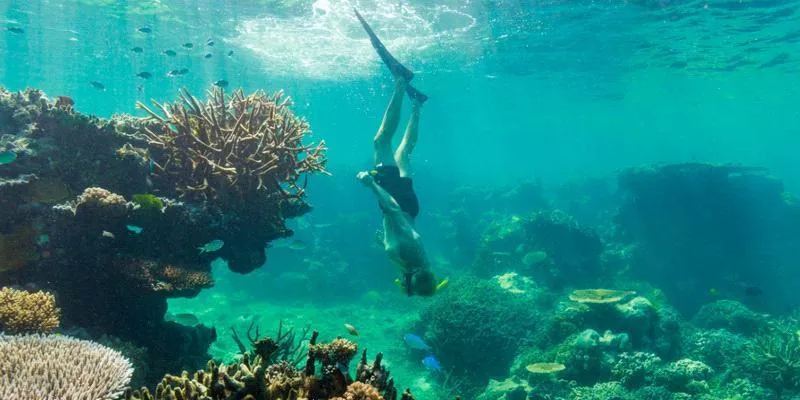 Great Barrier Reef Snorkeling