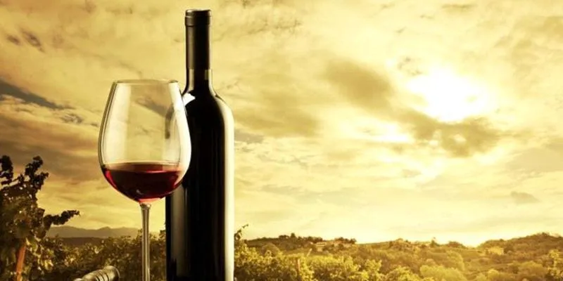 Barossa Valley Wine Tasting