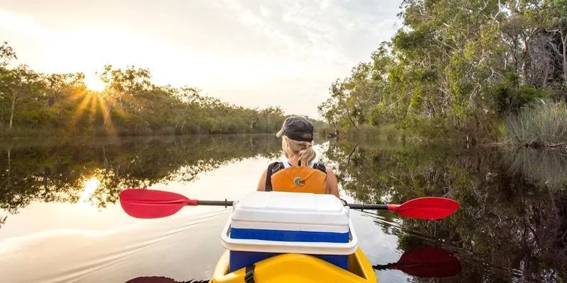 Noosa Everglades Paddle Boarding