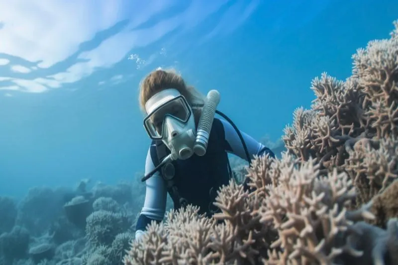 Scuba Diving in the Andamans