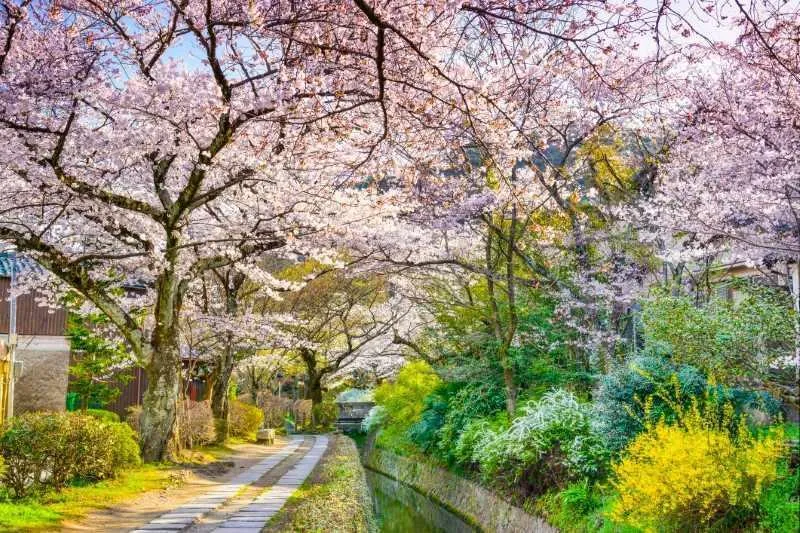 Philosopher's Path